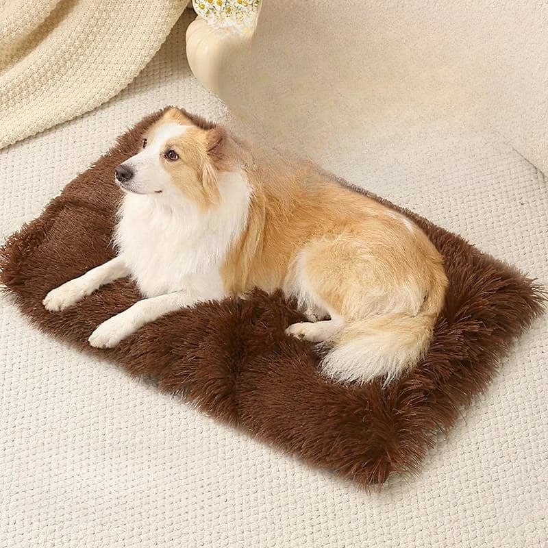 Cuccia Invernale Calda in Peluche Lungo per Animali Domestici, Tappetino Morbido e Accogliente per Cani e Gatti, Essenziale per Gabbie e Divani