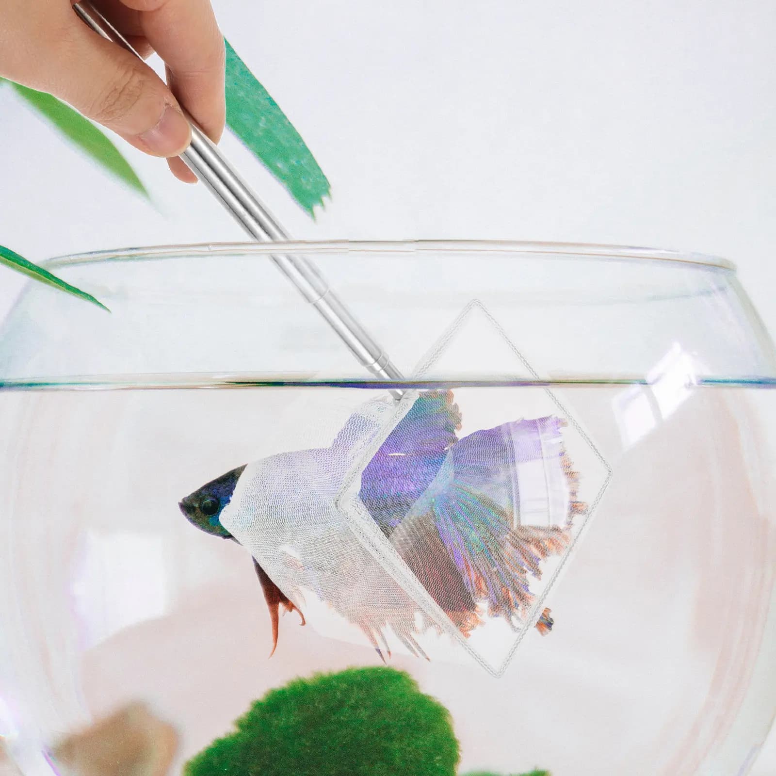 Rete da Pesca Telescopica in Acciaio Inossidabile, Portatile ed Estensibile 40Cm, con Rete a Maglia per Acqua Dolce e Salata