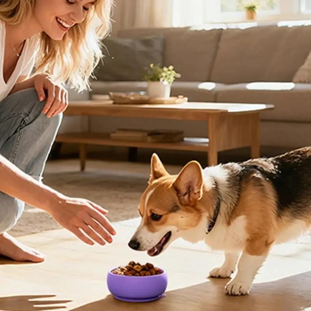 Ciotola Portatile in Silicone per Cani, Antiscivolo e Antispruzzo, Ciotola per Alimentazione Lenta, Piatto per Cibo per Animali Domestici