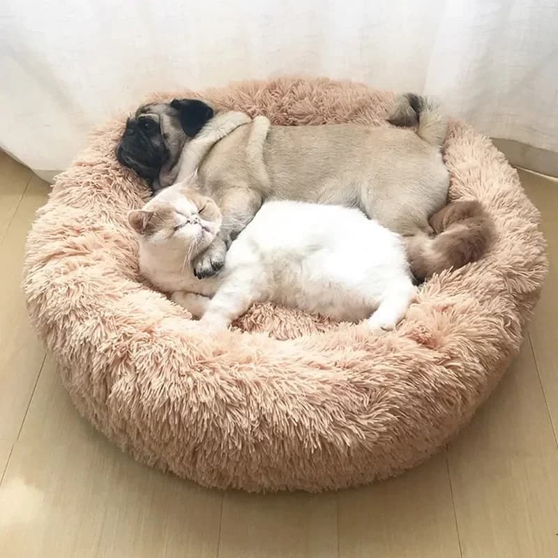 Nuovo Letto per Cani e Gatti Super Morbido, Materasso per Animali Domestici, Letto a Ciambella Lavabile e Confortevole, Ideale per l'Inverno