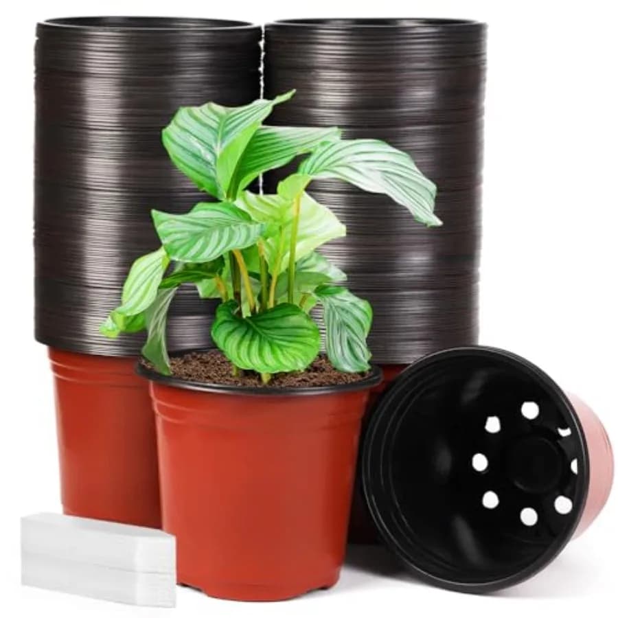 Pack of 200 Plastic Vases for Vivary with Draining Holes, Plant and Flowers Containers and Seed Vases with 200 Labels