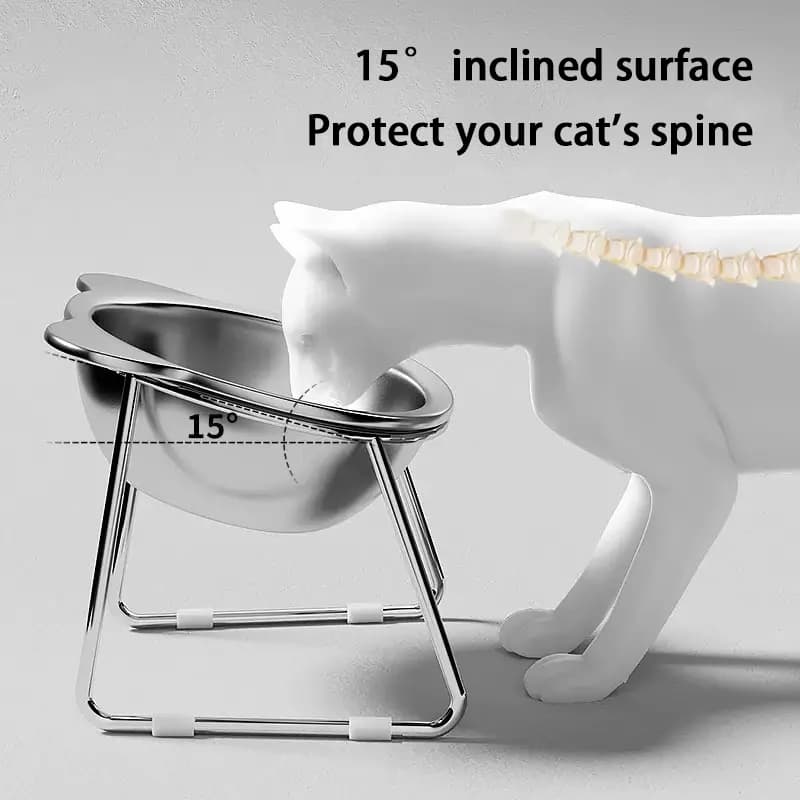 Ciotola per gatti 15 ° Protezione per il collo inclinata, piatto per alimenti per animali domestici rialzato in acciaio inossidabile 304 Ciotole infrangibili antiscivolo per mangiare gatti e cani