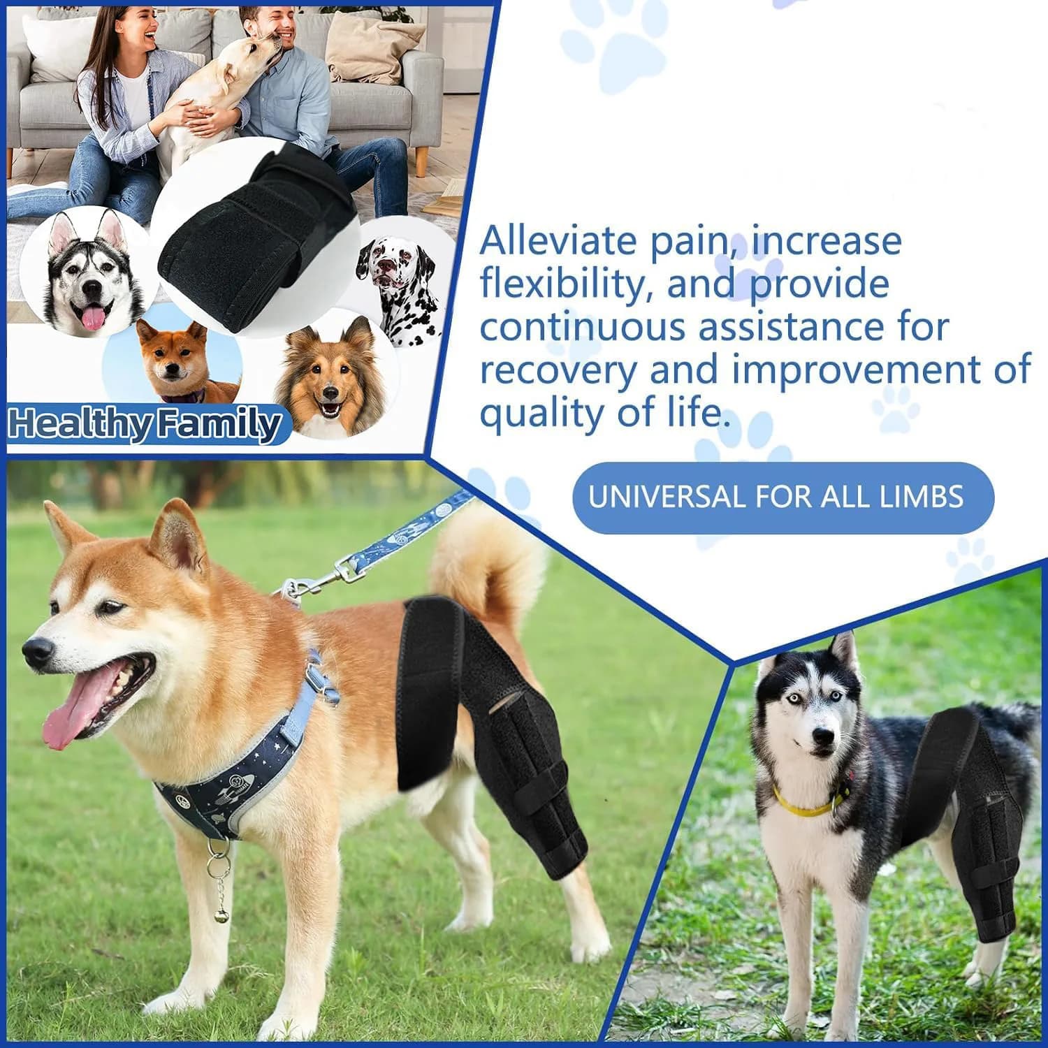 Supporto per Ginocchio e Zampe Posteriori per Animali Domestici, Design Antiscivolo, Protezione per Cani con Lesioni Articolari e Recupero Post-Operatorio
