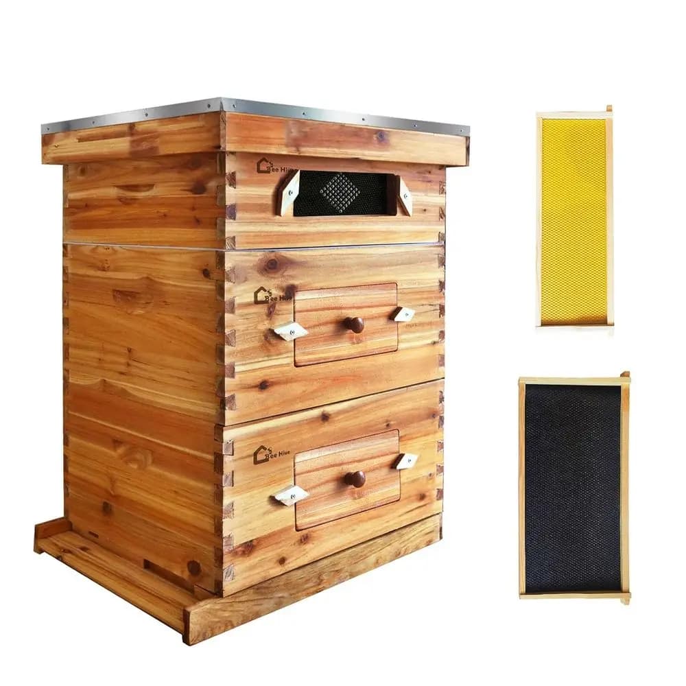 Beech covered with 10 paintings with honey Langstroth Supers and foundations for beekeeping