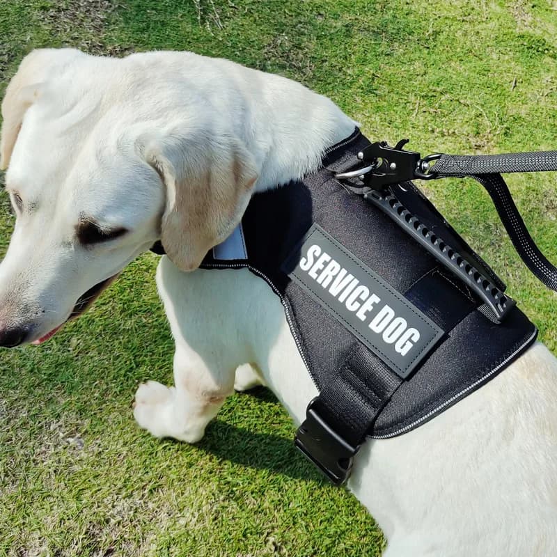 Chest Strap Dog Vest Harness Medium and Large Dog Border Collie Golden Hair Bucket Explosion proof Flushing Dog Harness