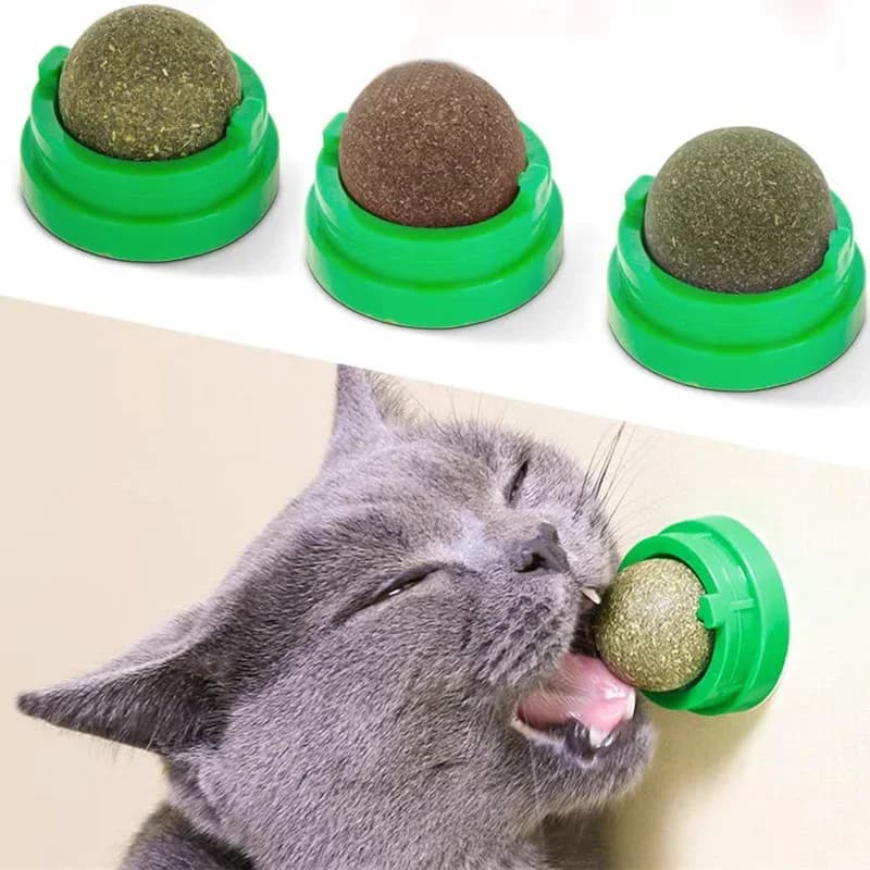 Natural Wall-Stick Catnip Ball – Scratcher & Digestive Treat, Healthy Grass Snack