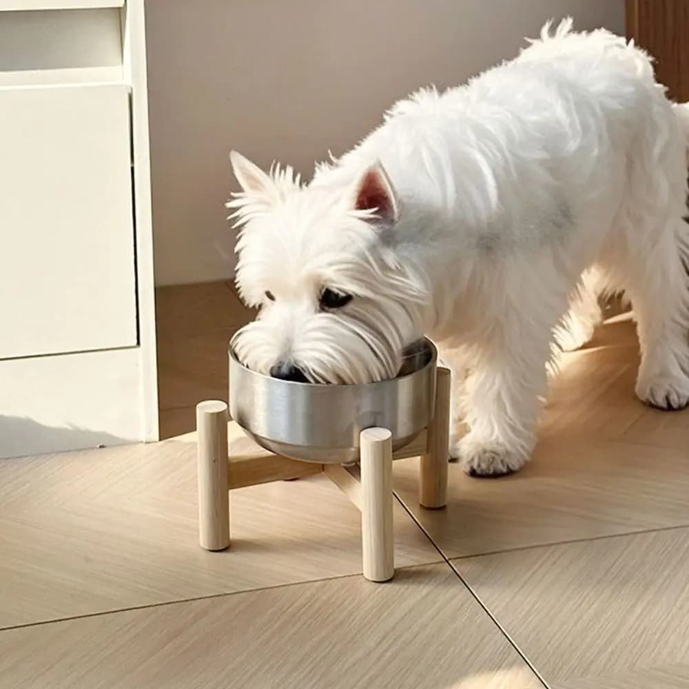 Ciotola per Cani in Acciaio Inox con Supporto in Legno, Antiruggine, Ciotola Rialzata per Gatti, Doppio Strato Rinforzato per l'Alimentazione degli Animali Domestici