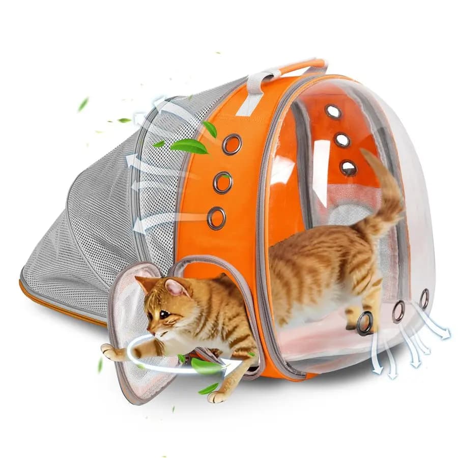 Zaino porta schienale espandibile Bubble Pet Carrier Zaino per gatti di grandi dimensioni, gattini e cani, progettato per escursioni, viaggi e