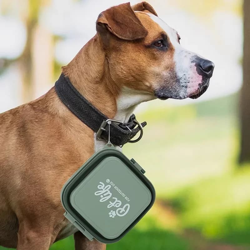 Ciotola da viaggio pieghevole per cani, ciotola portatile per cani da viaggio, cibo per animali domestici e mangiatoia per acqua costruita insieme