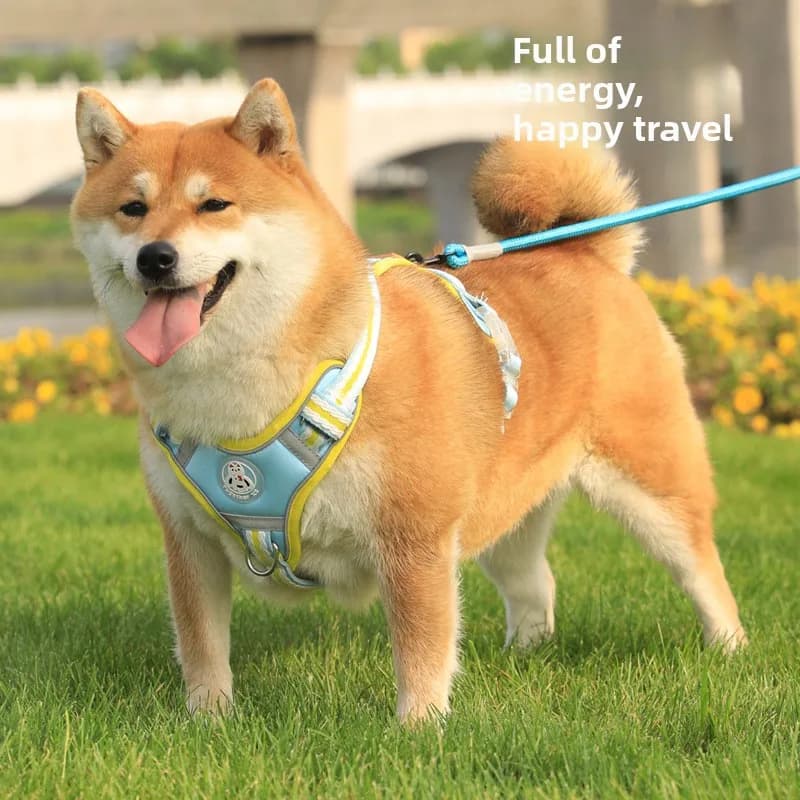 New washable breathable mesh high-value pet traction rope anti-explosion and reflective adjustable dog chest strap