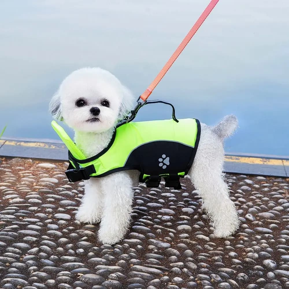 Superior Buoyancy Dog Life Jacket Waterproof Breathable Dog Swimming Vest Tear Resistant Adjustable Puppy Safety Vest