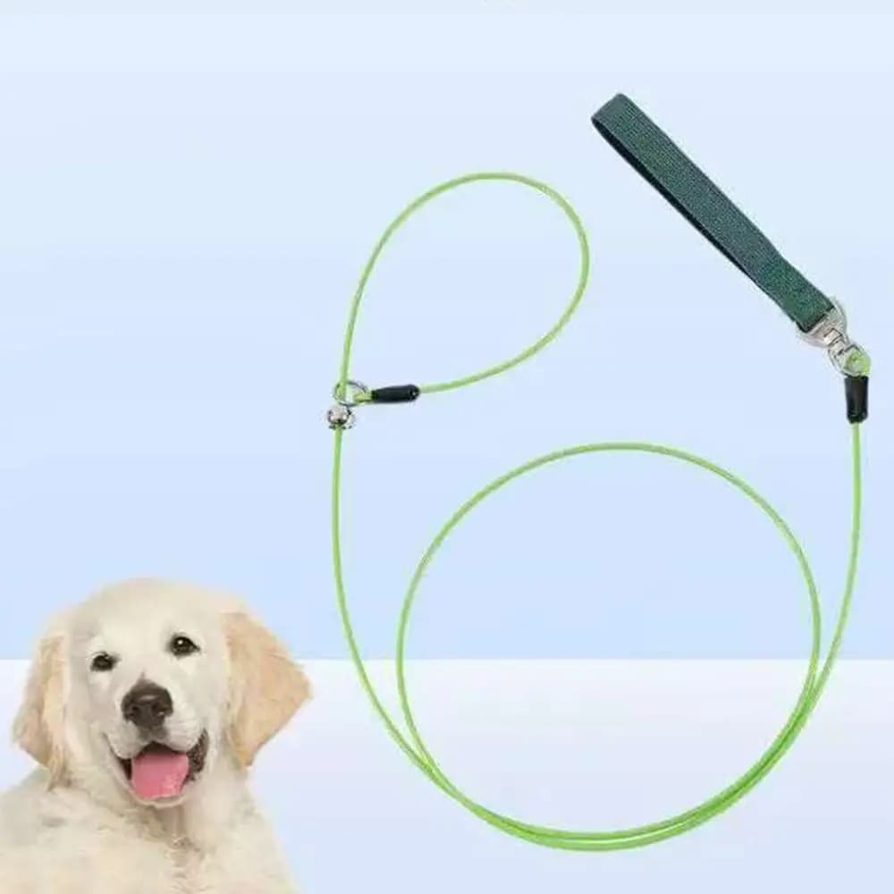 Guinzaglio per Addestramento Cuccioli Colorato, Corda in Acciaio con Lunghezza Regolabile, Collare per Animali Domestici, Impugnatura Comoda, Resistente all'Acqua