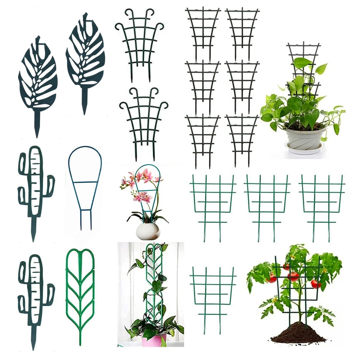 10 Pezzi Supporti per Piante in Plastica per Cactus, Piante Rampicanti, Pomodori e Fragole, Aste di Supporto per Fiori in Vaso, Balcone e Giardino