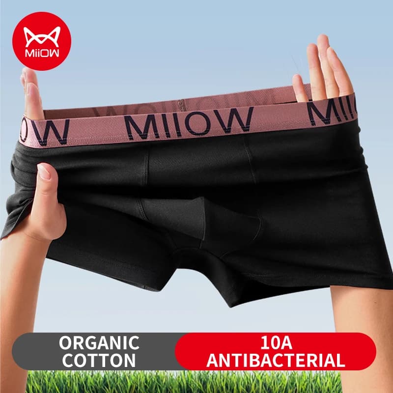 MiiOW 3 Pezzi Intimo Uomo in Cotone 10A Antibatterico, Slip da Uomo Morbidi, Traspiranti e Delicati sulla Pelle, Boxer da Uomo