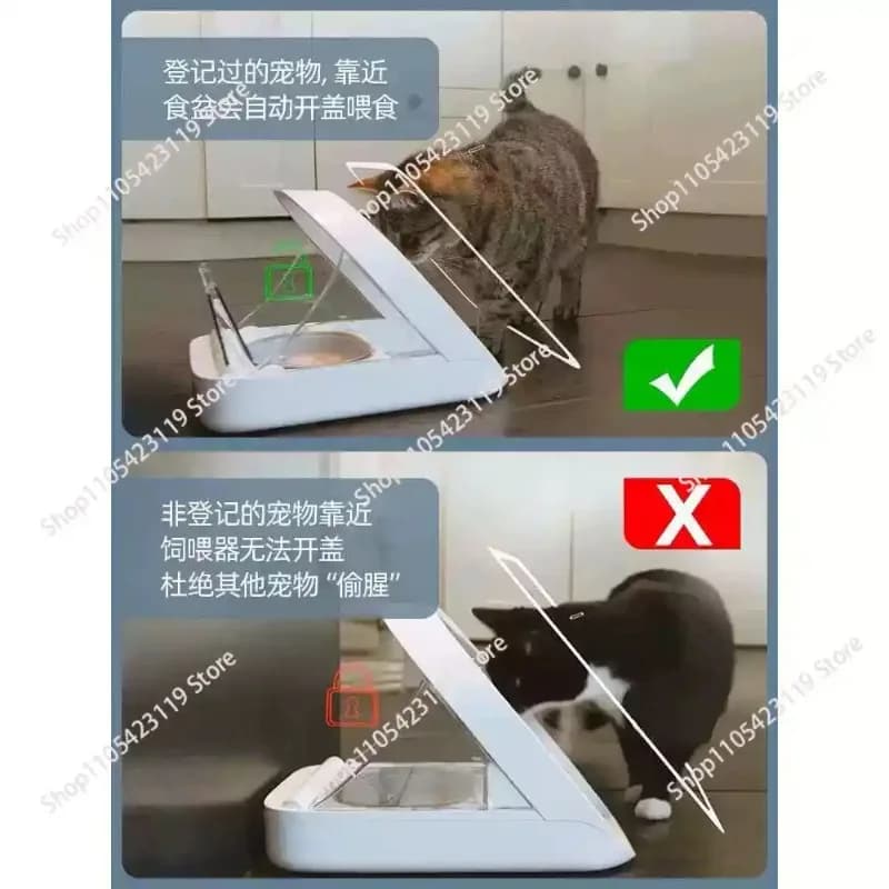 Distributore Automatico di Cibo per Gatti con Identificazione Intelligente del Chip, Ciotola Multi-Gatto per Alimenti Umidi Freschi, Anti-Insetti