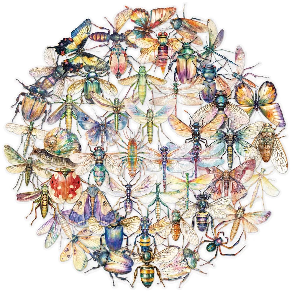50Pcs Cute Cartoon Insect Beetle Stickers PET for Toy DIY Luggage Laptop Guitar Skateboard Phone Case Bike Car Sticker