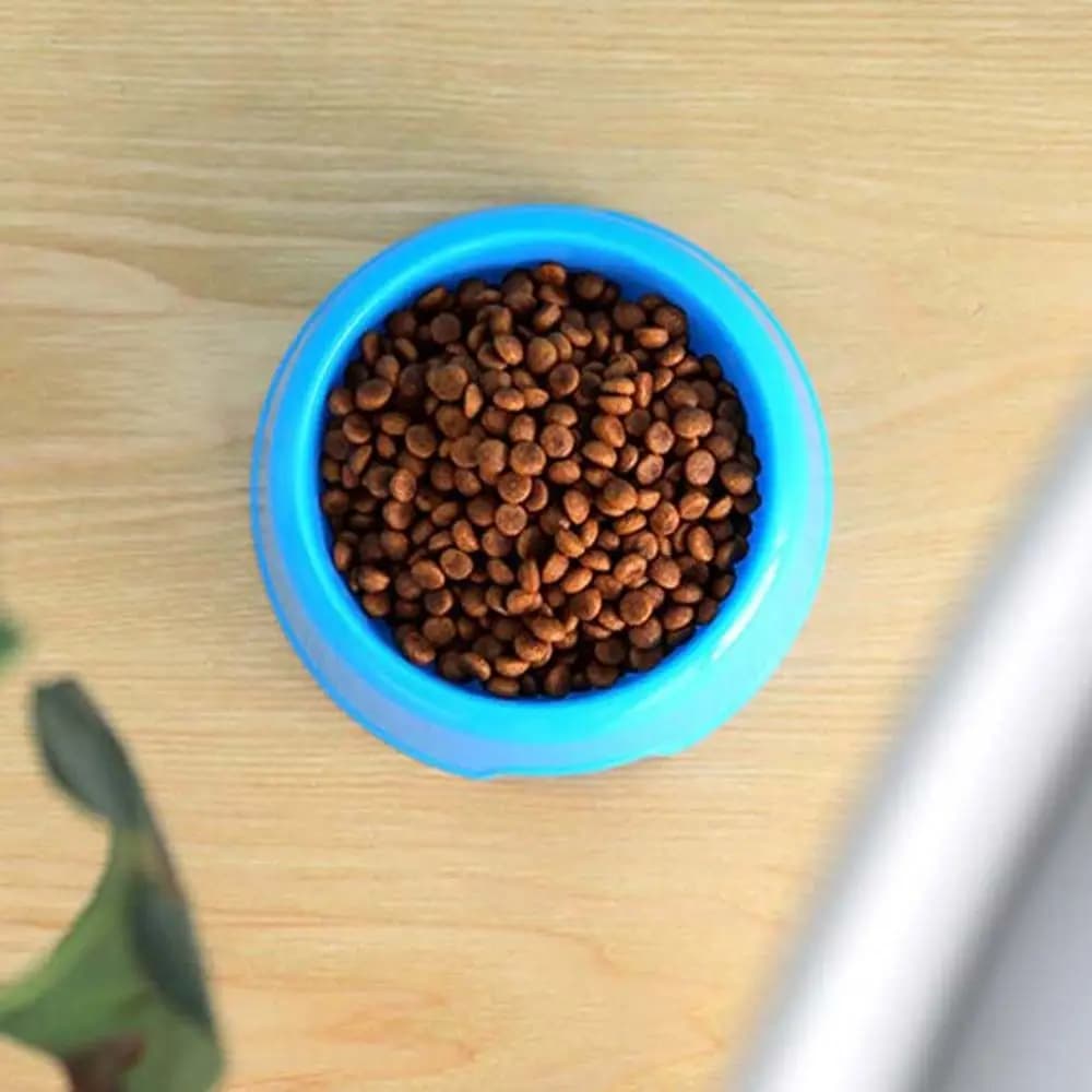 Ciotola per Cibo e Acqua per Cani e Gatti, Contenitore per Alimenti e Acqua per Cuccioli, Ciotola per Gatti, Ciotola per Cani, Accessori per Animali Domestici
