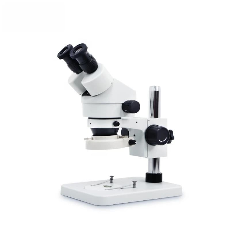 Microscopio professionale con lente d'ingrandimento ad alta definizione, rilevatore didattico per microscopio binoculare ad alta ingrandimento
