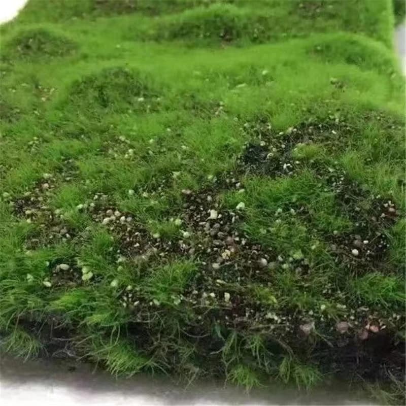 Simulato tappeto erboso muschio paesaggistico piante verdi muschio prato bonsai decorazione del paesaggio piante artificiali verdi 50 * 100 cm