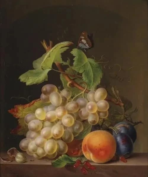 Natura morta con frutta e una farfalla Cucito 14CT Kit punto croce non stampato Ricamo artistico Ricamo fatto a mano fai da te Decorazioni per la casa