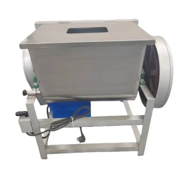 Impastatrice Automatica per Pasta, Mixer Commerciale per Farina 15kg-100kg, Alimentazione 220V/110V