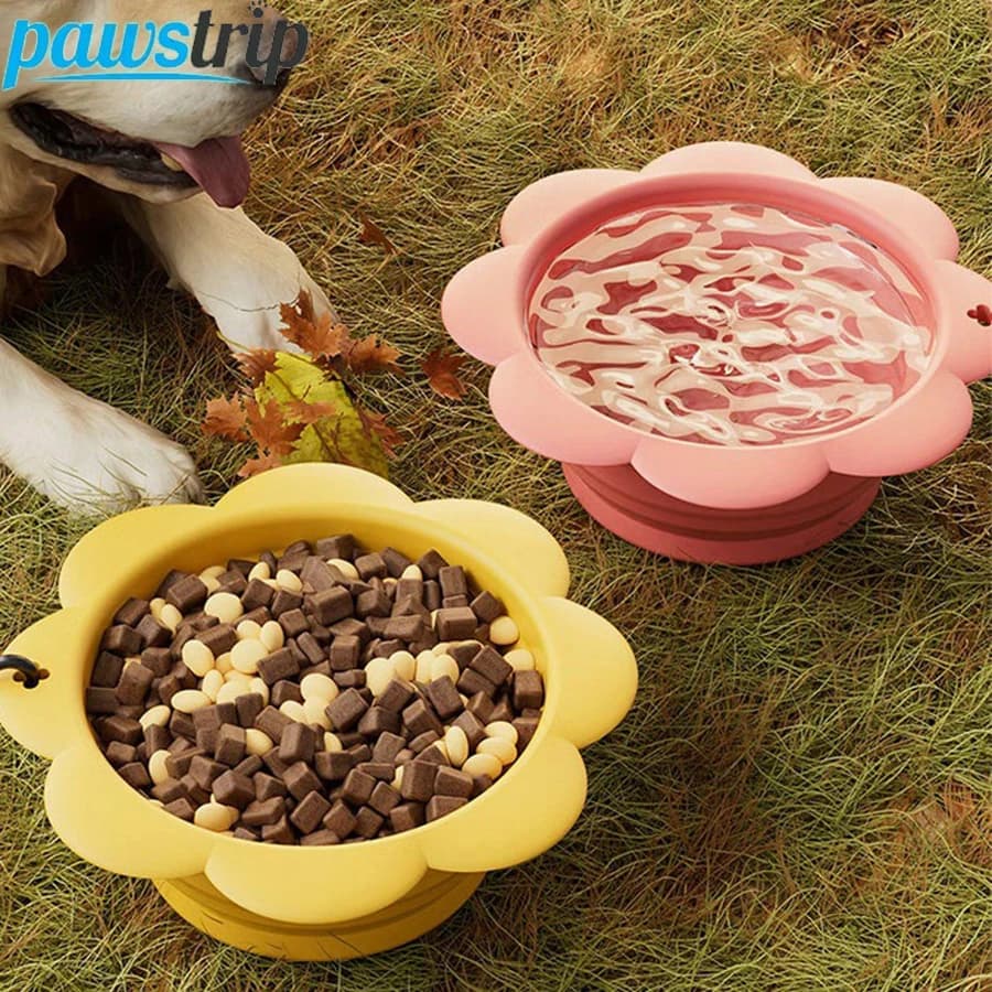 Ciotola Pieghevole per Cani da 350ml, Ciotola da Viaggio Portatile in Silicone per Cani, Ciotola per Bere per Cuccioli, Contenitore per Cibo per Animali Domestici, Accessori per Cani
