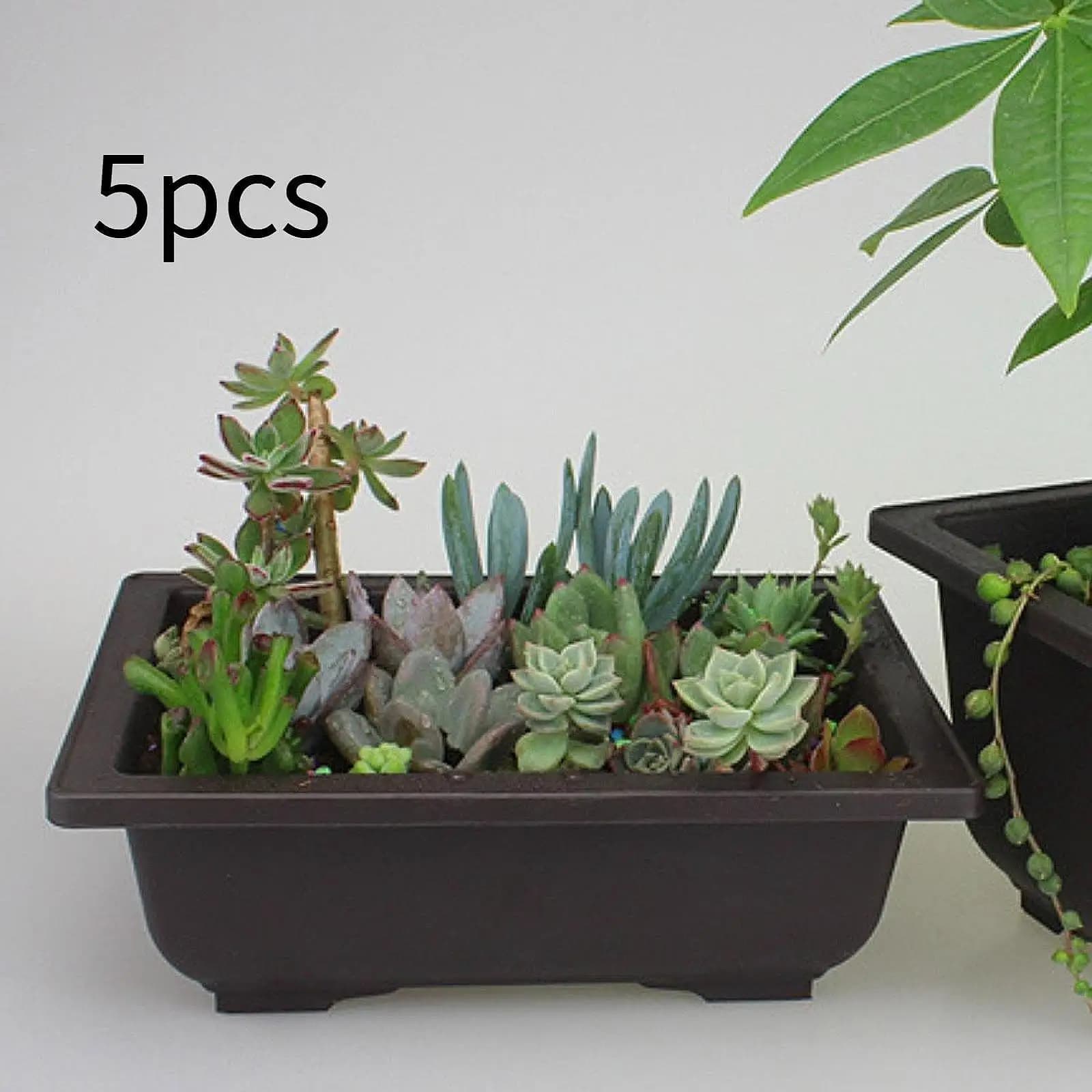 5x Flower Pots Planting Gardening Planters for Indoor Outdoor Patio Balcony