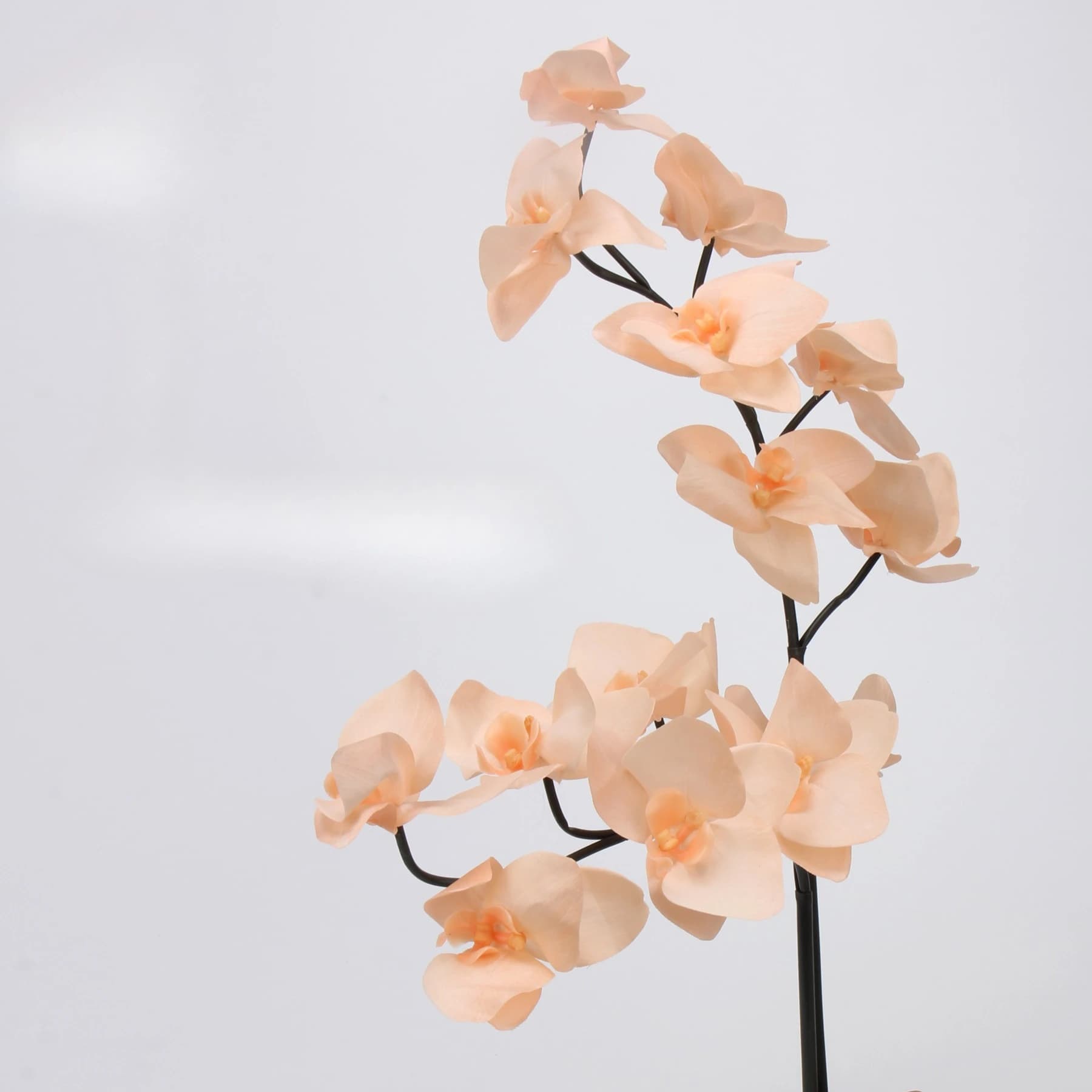 Fiore artificiale di orchidea Phalaenopsis TPE da 2 pezzi 65 cm - Pianta finta realistica soft-touch per la decorazione domestica di nozze