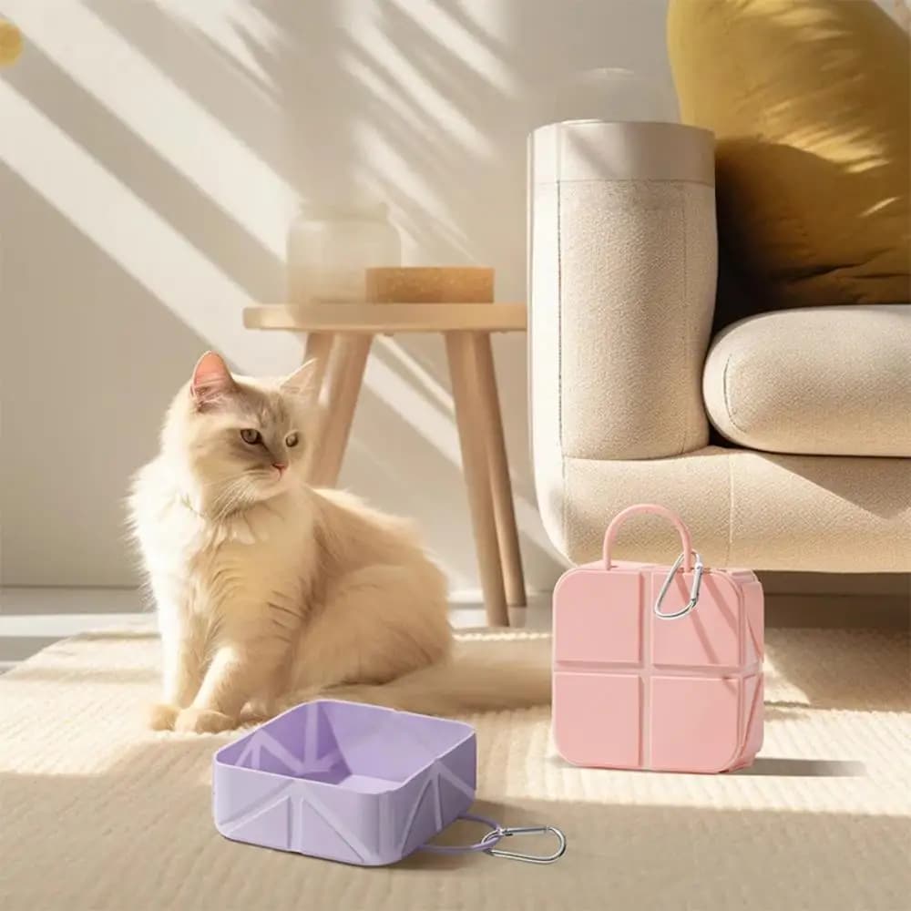 Ciotola Pieghevole Portatile in Silicone per Cani e Gatti, per Viaggi all'Aperto, Campeggio, Alimentazione e Abbeveraggio