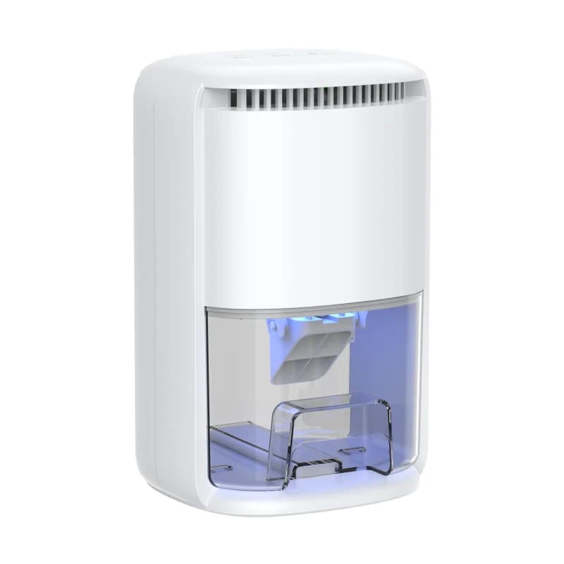 Deumidificatore di raffreddamento per bagno con sala macchine ad aria per restauro Oem Odm 1000ml