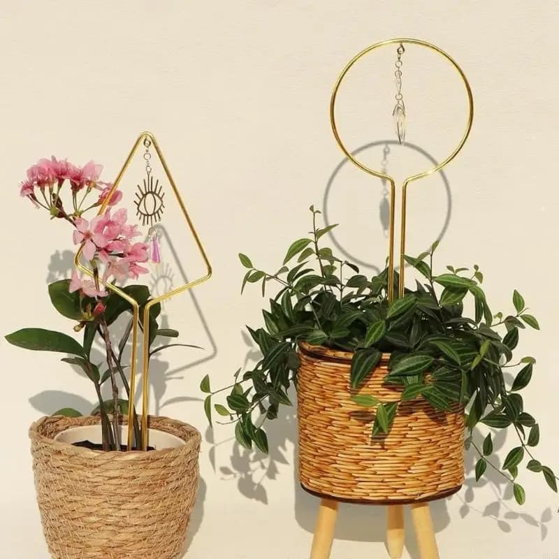 Supporto per piante durevole con pannelli in cristallo sole e luna per creare motivi luce nei giardini in vaso B03E