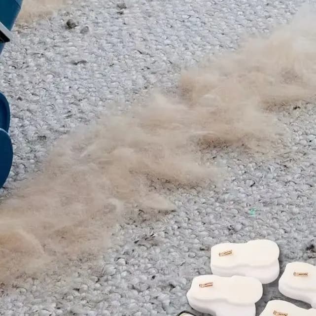 Kit di ricambio per aspirapolvere Shark HZ3002 HZ3000: spazzola a rullo, filtro, strumento di pulizia e filtri in feltro per peli di animali domestici