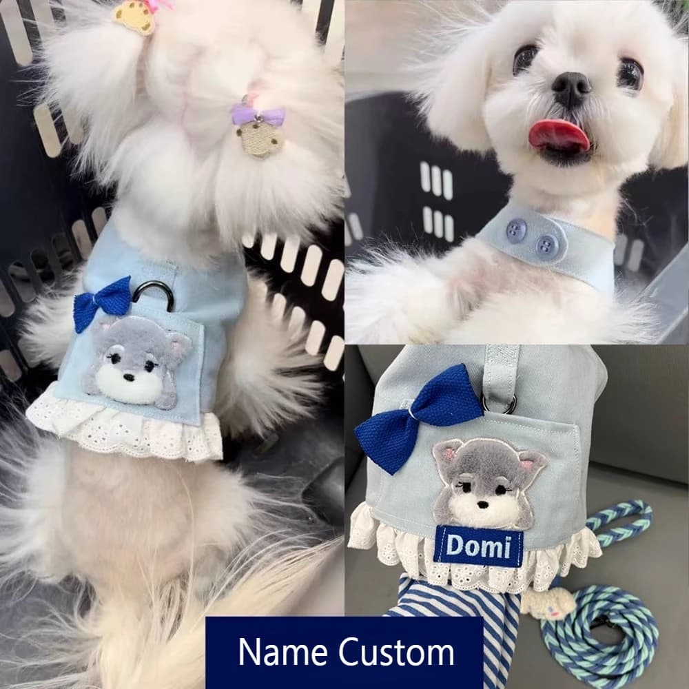 Set di pettorine per cani personalizzate, simpatico pettorina di jeans con nome etichetta ricamata personalizzata, set di guinzagli con papillon in pizzo per piccole razze