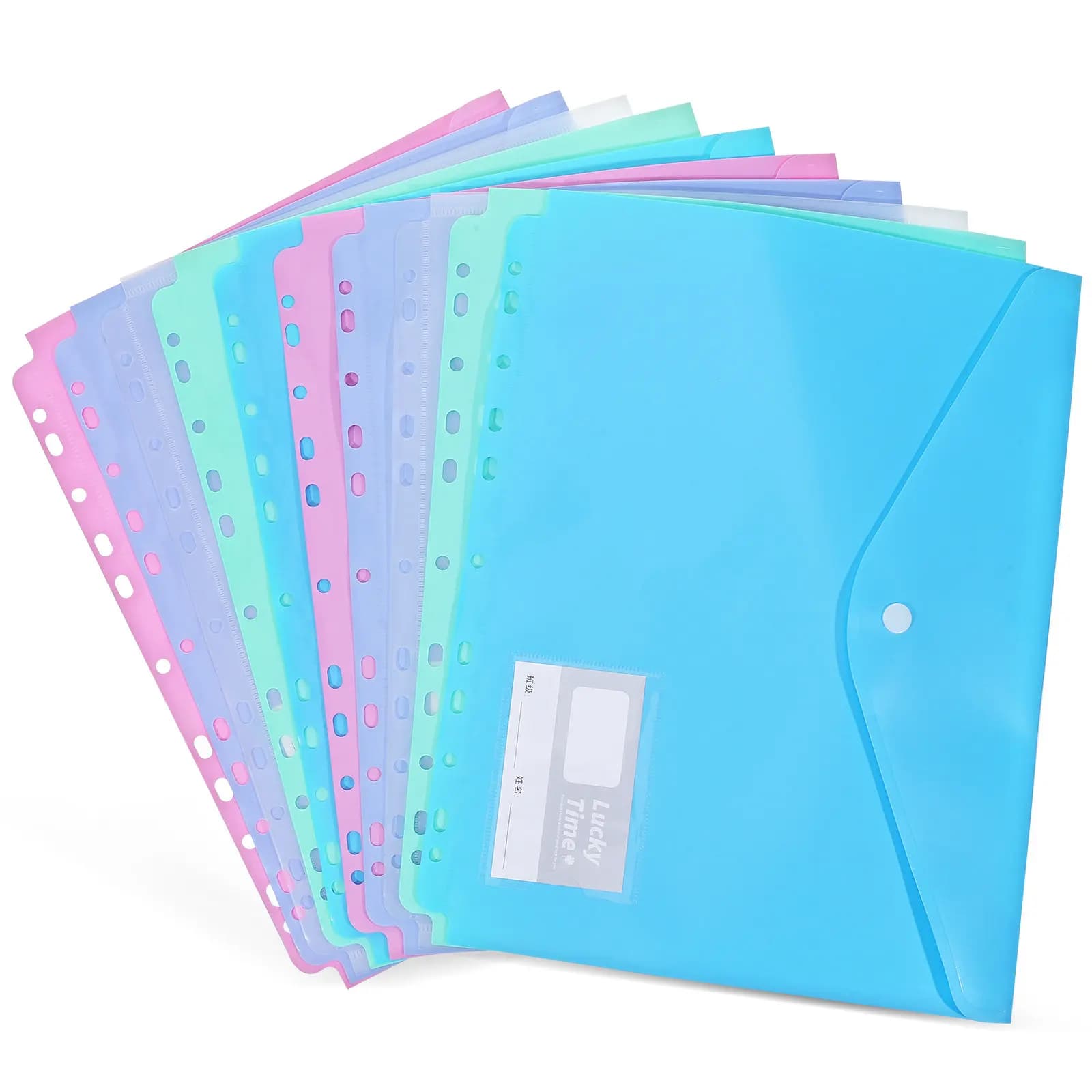 10 buste per documenti, organizer per cartelle in plastica impermeabile, formato A4, buste portatili per ufficio, scuola, viaggi