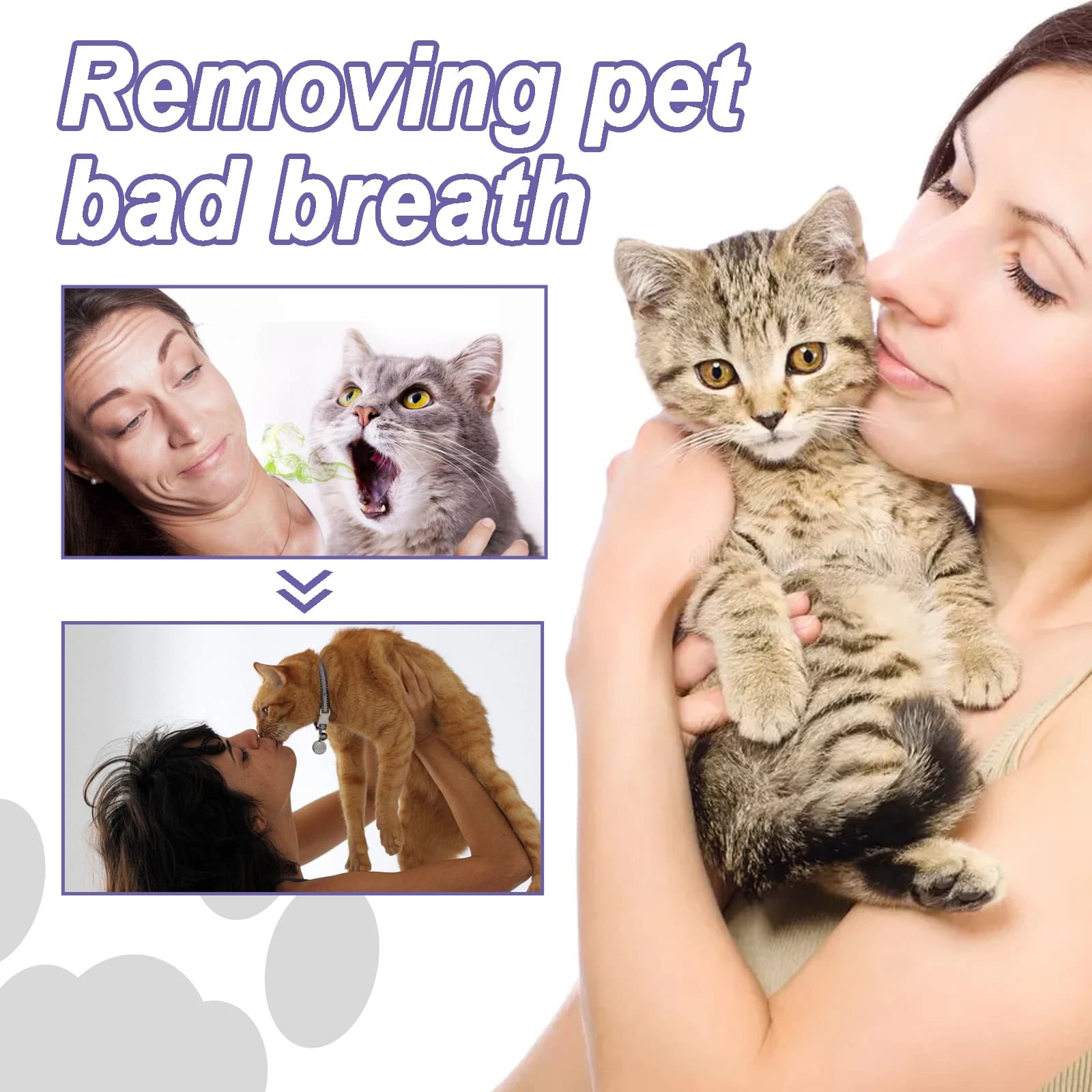 Gel per la Cura Dentale degli Animali Domestici 3ml, Penna per la Pulizia dei Denti per Cani e Gatti, Alito Fresco, Controllo del Tartaro, Lenisce le Gengive, Formula Facile con Bicarbonato di Sodio