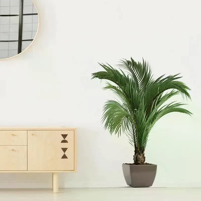 1pcs New Simulation Of Green Plants Potted Art Wall Stickers For Bedroom Living Room Decoration Wall Decal 40*60cm