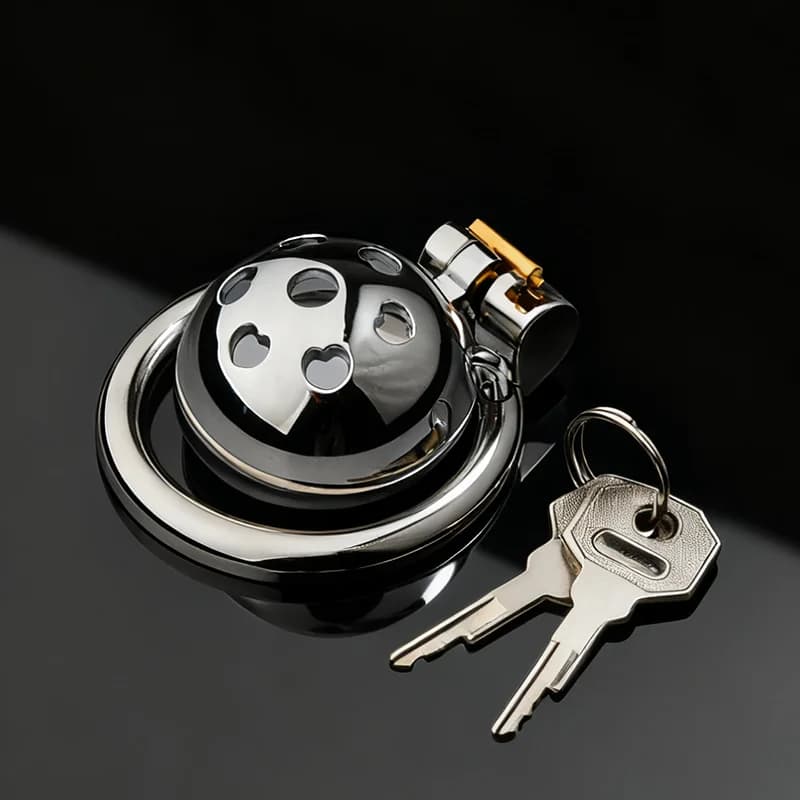 Dispositivo di Castità in Metallo Regolabile con Anello di Bloccaggio, Gabbia per Pene Traspirante e Cava, per Coppie Adulte
