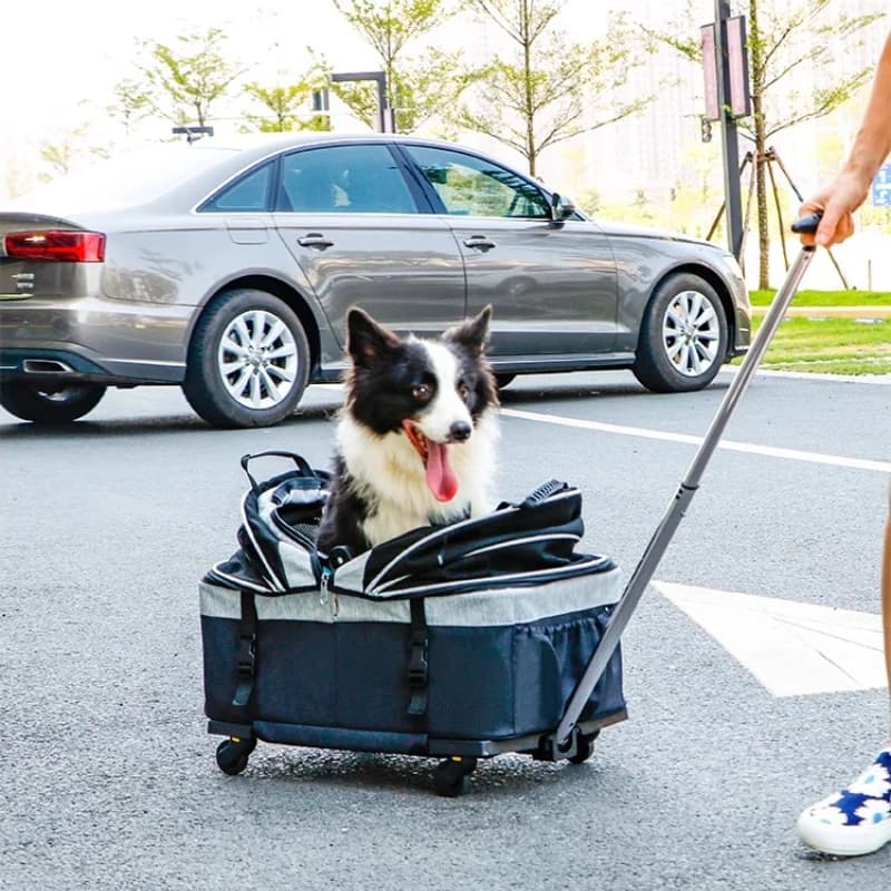 Comoda valigia da viaggio per animali domestici Trasportini pieghevoli per gatti Cestino in rete Carrello pieghevole separato Gabbia Custodia da trasporto multifunzionale
