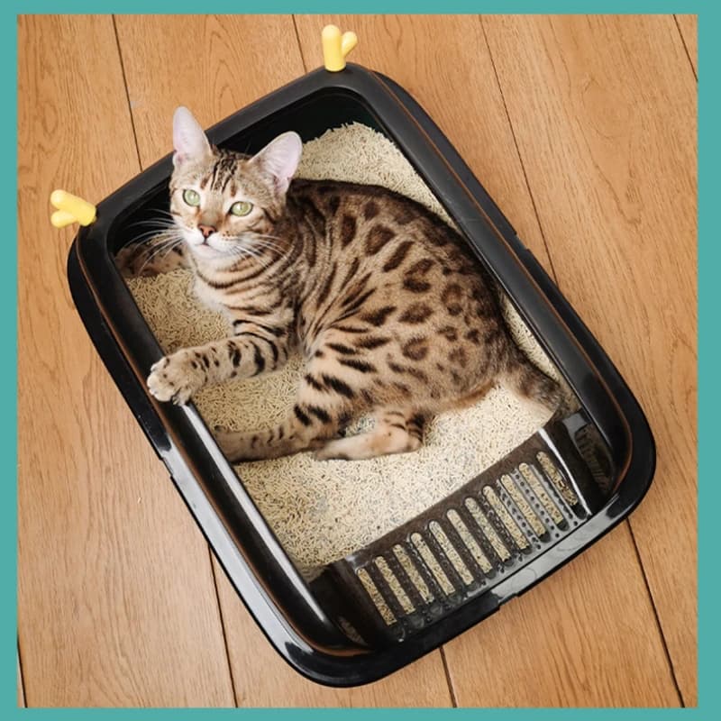 Lettiera per gatti semichiusa Lettiera per gatti antispruzzo di grandi dimensioni Completamente aperta Anti-sabbia Toilette per piccoli animali domestici Prodotti per animali domestici