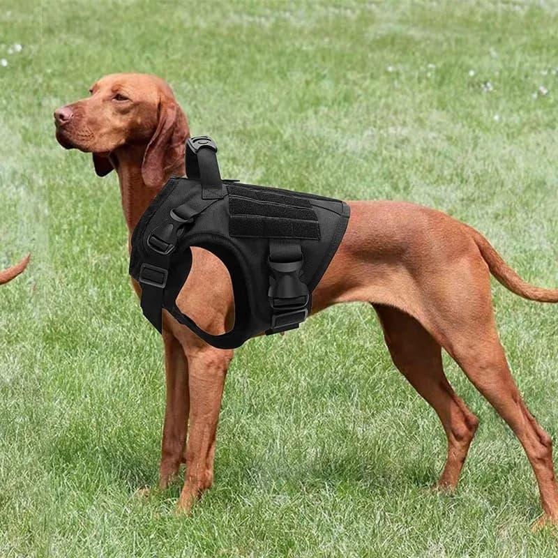 Imbracatura per cani tattica pesante adatta per cani di taglia grande servizio di imbracatura per animali domestici regolabile Set di collare per cani nero da addestramento facile da controllare