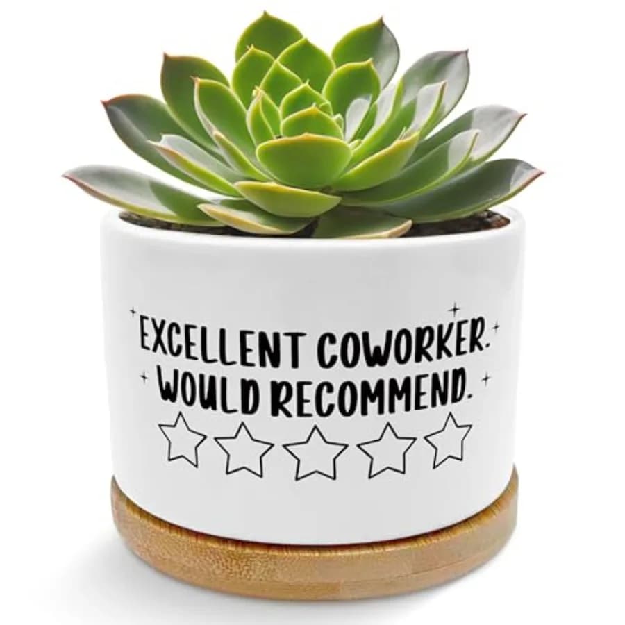 Coworker Gifts for Women Men Planter Pots, Farewell Goodbye Going Away Gifts for Coworkers Ceramic Succulent Plant Flower Plant