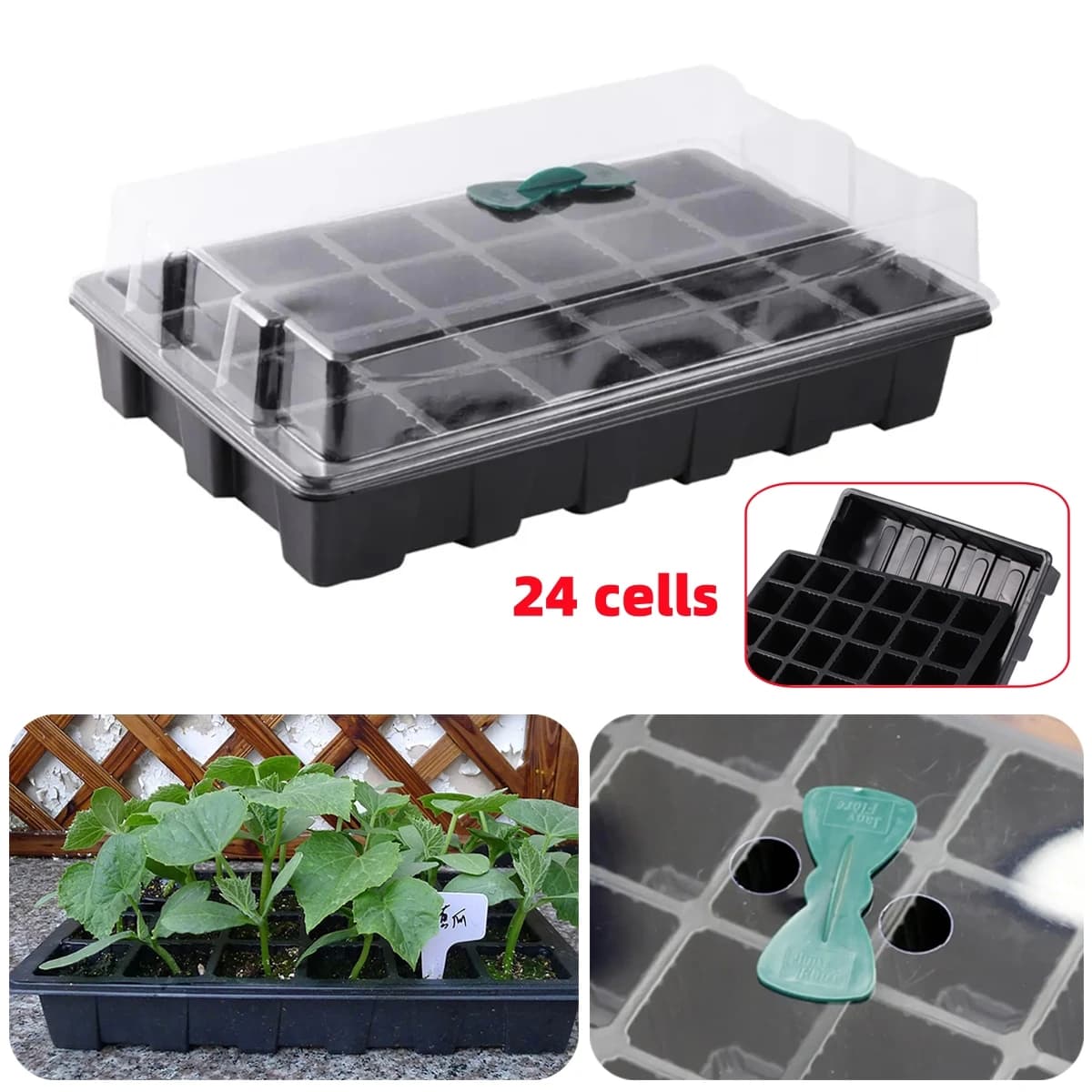 24-cell seedling tray germination box with 2 breathable holes Vegetable seed planting box for garden greenhouse plants 1 piece