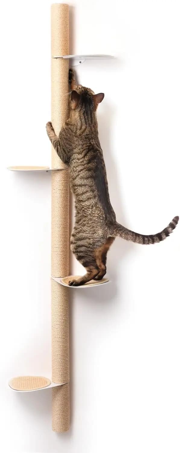 Albero per Gatti da Parete Alto 68 Pollici con Tiragraffi in Sisal e Gradini in Acciaio - Arredamento Moderno Salvaspazio per Piccoli Ambienti