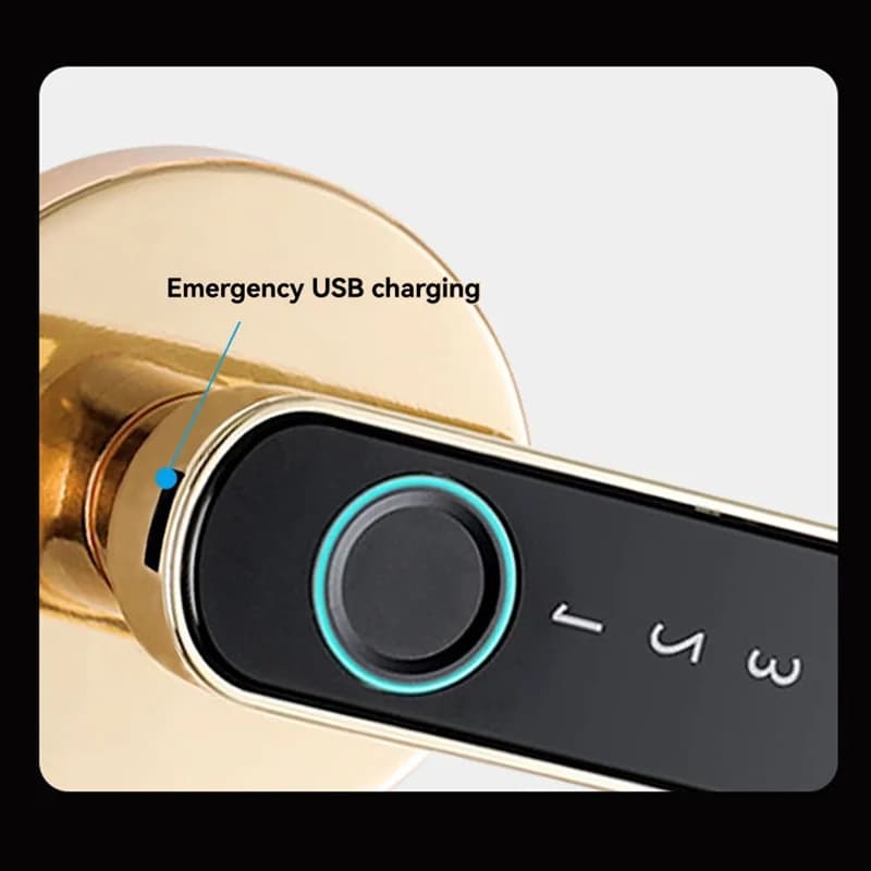 APPLIA-Smart Split Lever Door Lock Keyless Bluetooth Fingerprint Door Lock Card Tuya APP Sicurezza Digital Door Lock