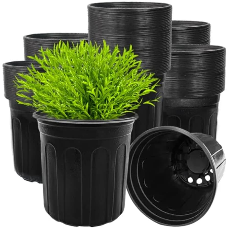 Flexible Vases for Plants, Morbid Plastic Containers with Hole for Semina, Plants and Steaks