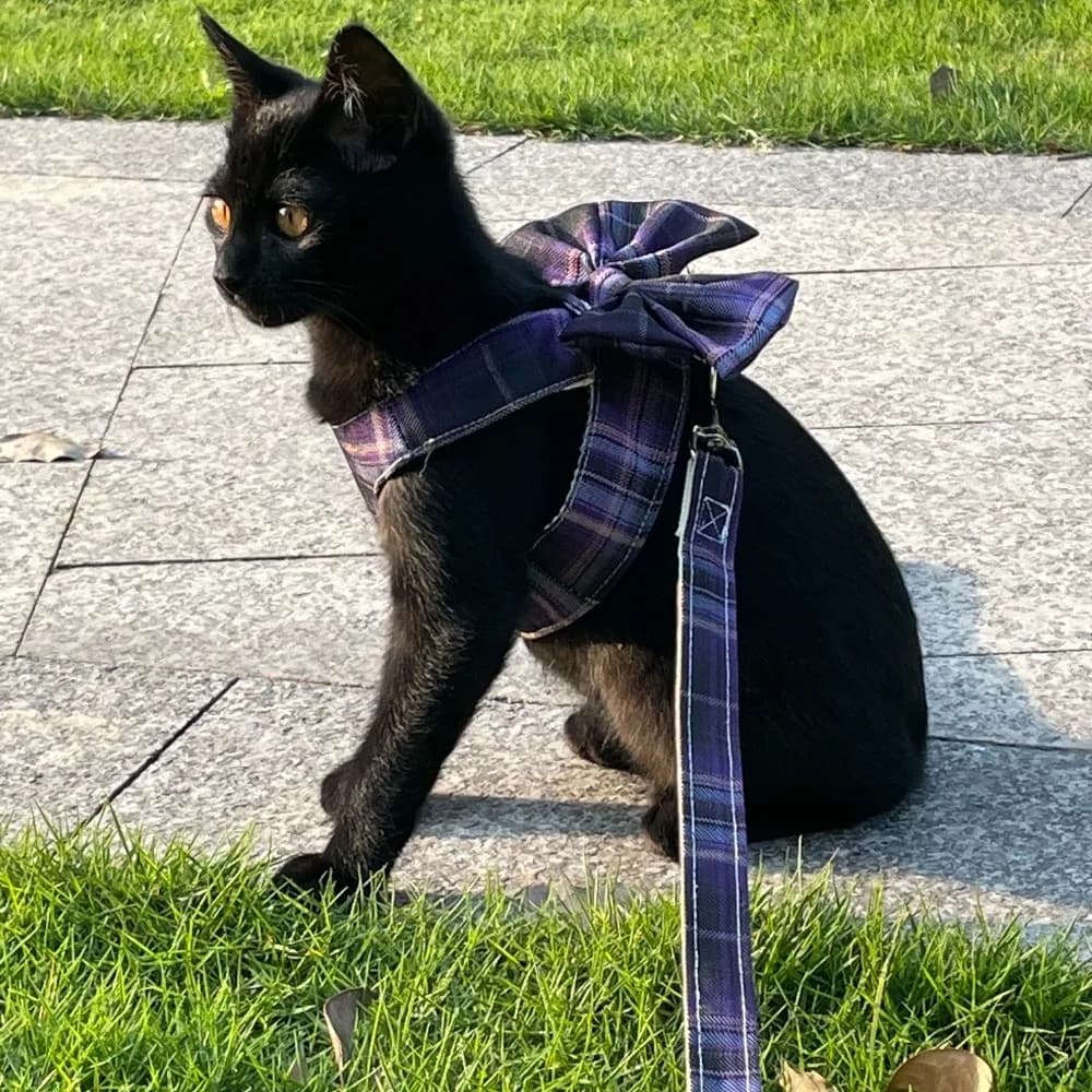 Guinzaglio per cani in nylon resistente, fibbia regolabile, stile gilet, arco, imbracatura per gatti, corda staccabile per trazione per animali domestici all'aperto