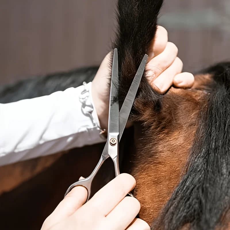 Horse Grooming Tool Set Stainless Steel Fine Hair Trimming Kit for Hair Grooming Livestock Care and Pet Hair Maintenance