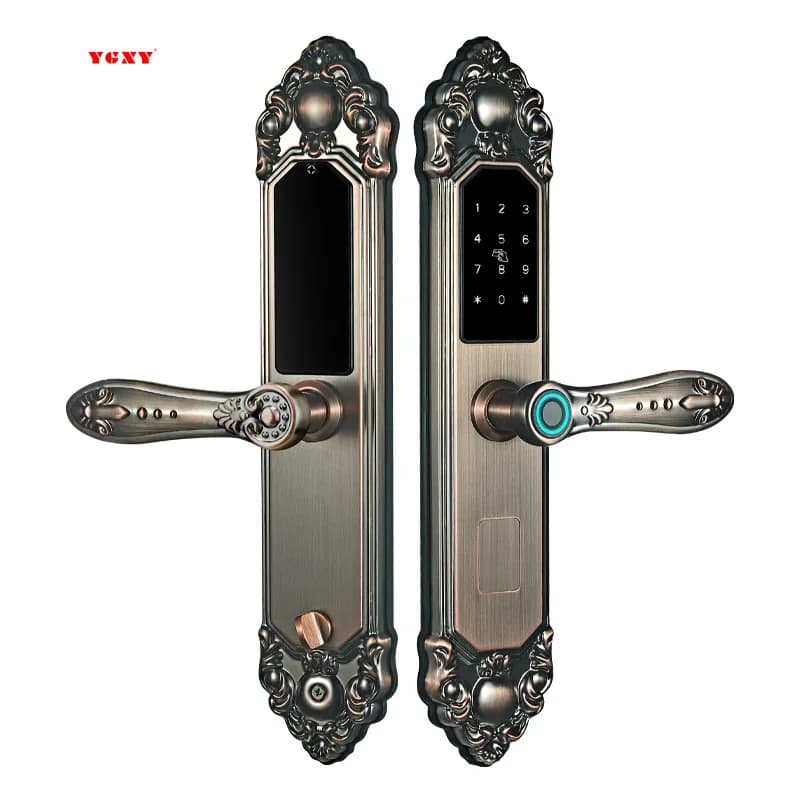 European Style Luxury Smart Lock Waterproof Fingerprint Password Key Villa Door Lock With Tuya App
