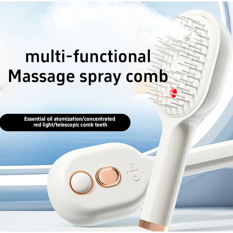 Multifunctional Electric Steam Spray Hair Brush USB-C Rechargeable Wet Hair Straightener Comb, Smooth Styling Anti-Frizz Tool