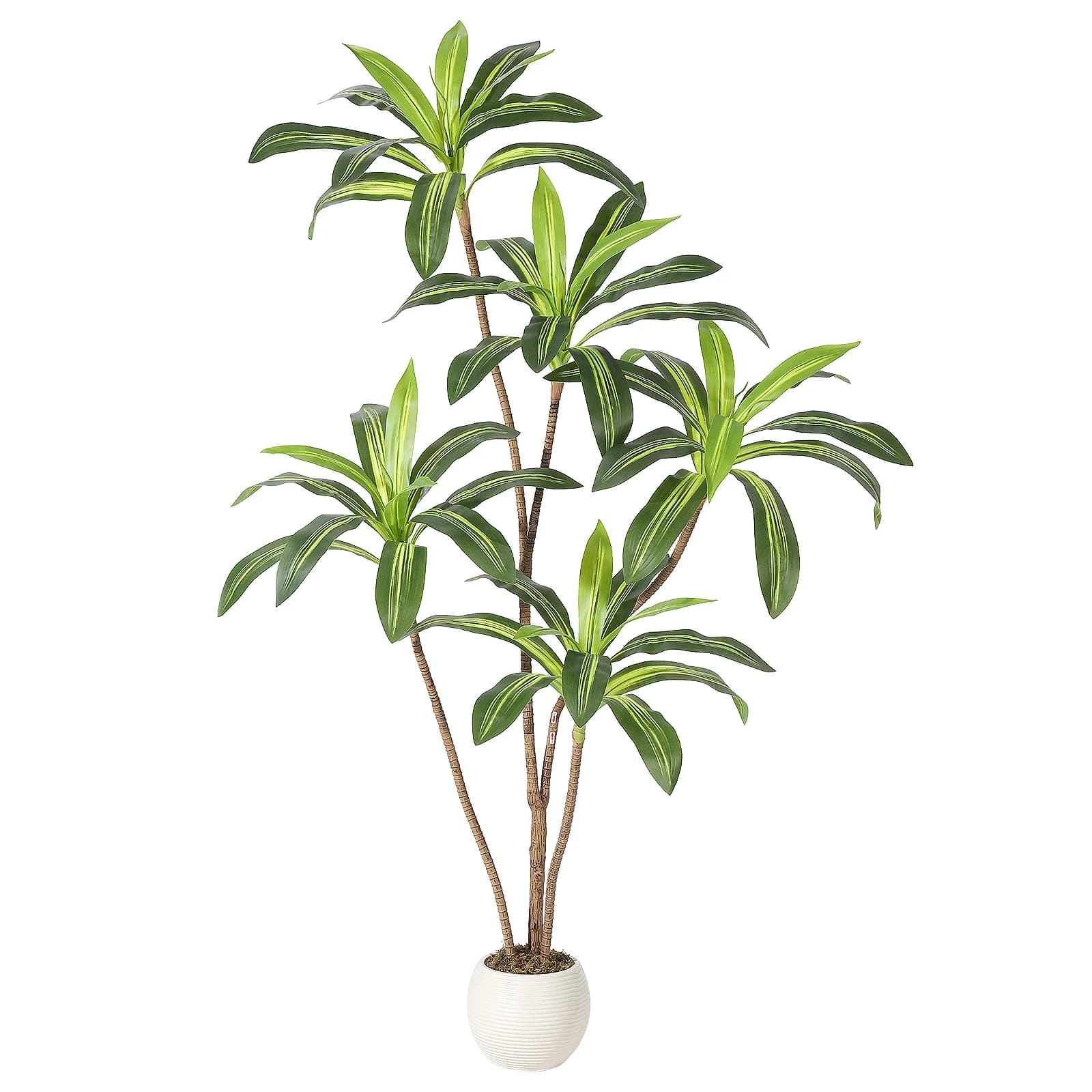 Artificial Dracena with High White Vase, Fin Tropical Plant in Silk for Home Furniture, Office, Entrance, Portico